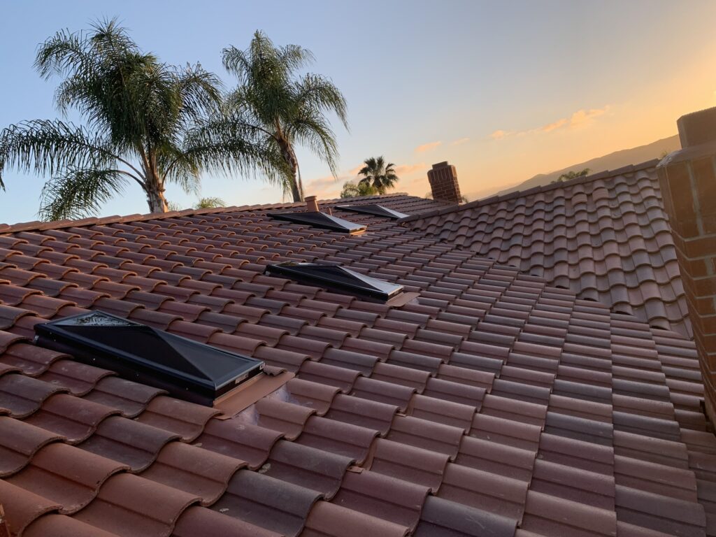 A roof with three skylights and palm trees in the background.