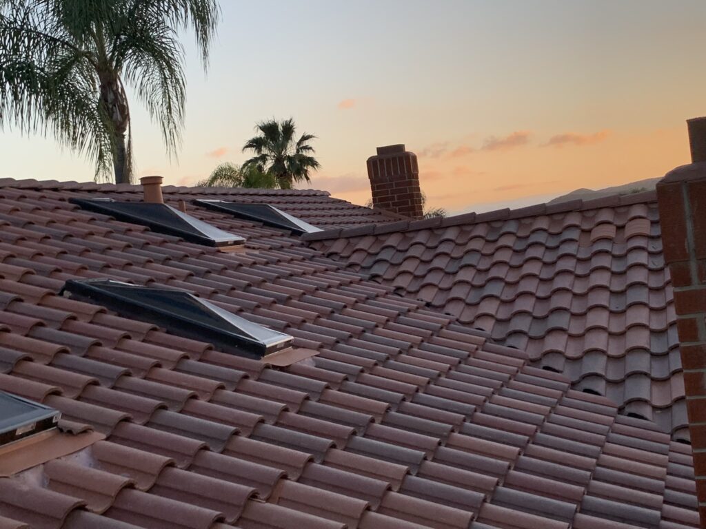 A roof with three skylights and two palm trees.